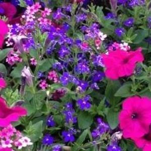 Meet your Posher, Jan